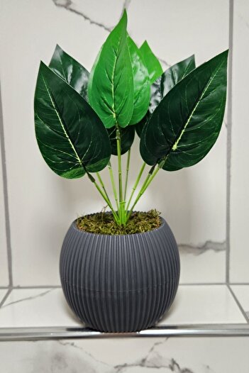 LUZAB Large Size Flower Pot Included Artificial Sword Leaf Table Flower Arrangement with Stone Moss V5 Anthracite