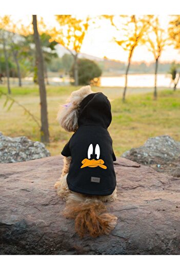 Buddy Store Duffy Duck Printed Black Cat and Dog Outfit Sweat