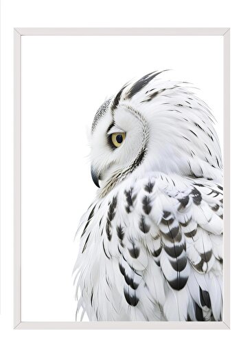 Postifull Owl Framed Painting, White Frame and Poster, Vertical Wall Painting Comfort Series No:108301