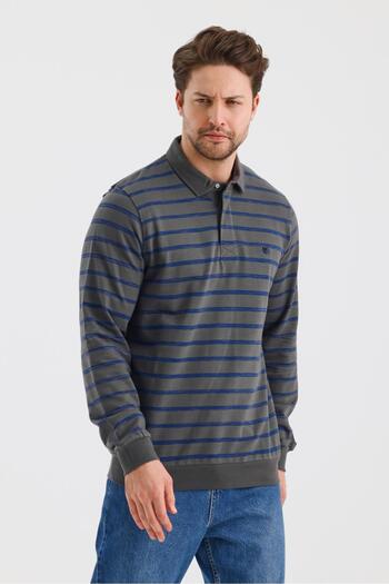 ALEXANDERGARDI Polo Neck Striped Regular Fit Sweatshirt (Wk25386)
