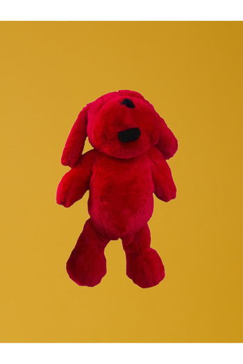 Galen Shabby Cut Dog