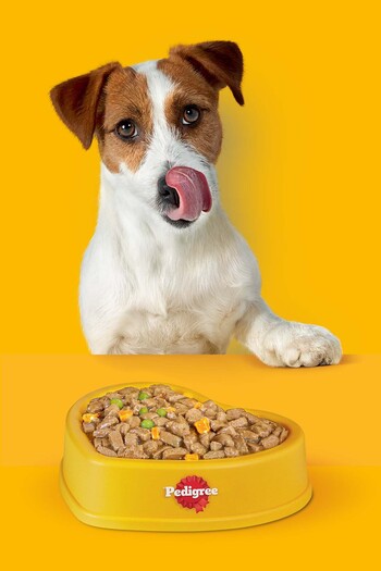Pedigree Küçük Cins Biftek Ve Sebzeli Köpek Maması 2000 gr