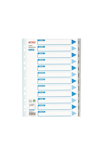 Bigpoint |   Separator, Bookmark for Inside Folder Cataloging, File Organizer, Date Months