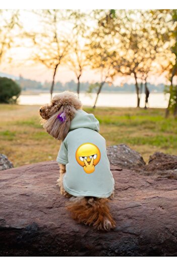 Buddy Store Aqua Green Cat and Dog Patterned Emoji Printed Sweatshirt