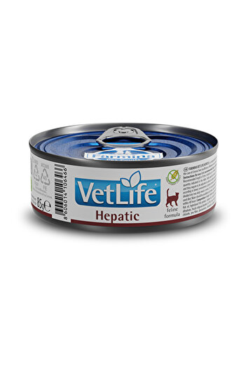 Farmina Vet Life Hepatic Wet Cat Food - 85 g