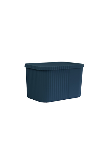 devigo 6-Liter Midi Multi-Purpose Storage Box with Lid - Towel, Cosmetic Personal Item Organizer