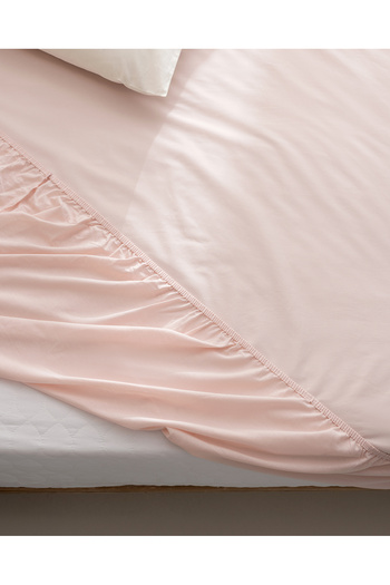 Madame Coco Manon King Size Plus 100% Cotton Ranforce Fitted Sheet - Light Powder