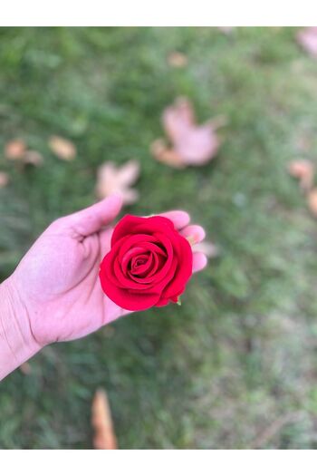LUZAB 6 Pcs Artificial Velvet Rose Head Gift Box Ornament Material a Quality Big Head