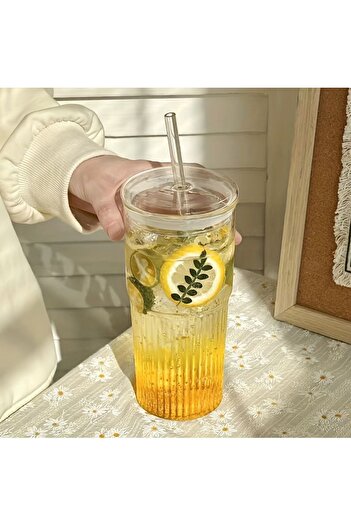 ERKUGO 600 ml Heat Resistant Macchiato Borosilicate Cup - Coffee Cup with Lid and Straw
