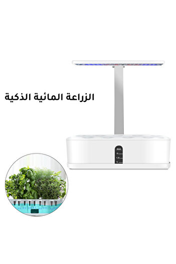 Generic Hydroponic small planting system H-1798