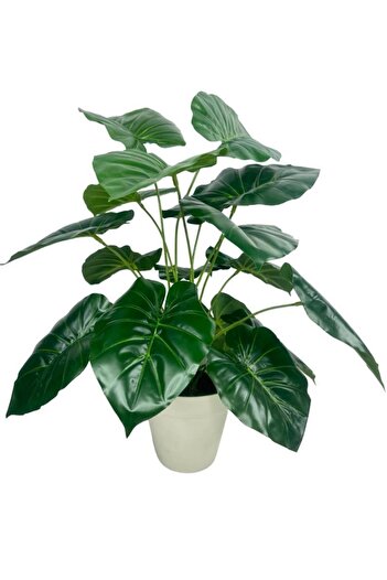 Nettenevime Yapay Çiçek Difenbahya Yeşil Salon Çiçeği 50cm Beyaz Saksılı Yapay Bitki