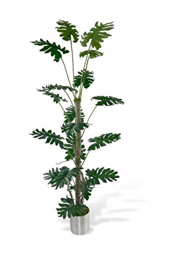 Nettenevime Yapay Ağaç Syngonium Plants 18 Dallı Çalılı Gövde 120x60cm Gümüş Aleminyum Saksıda
