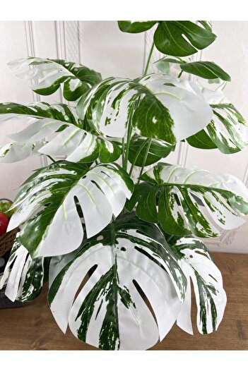 Nettenevime Yapay Ağaç Salon Bitkisi Beyaz Monstera 70 Cm 18 Yaprak Antrasit Saksıda Deve Tabanı