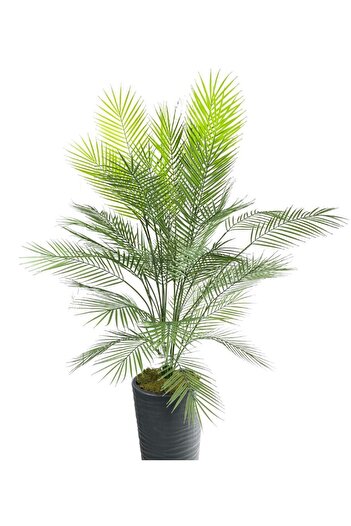 Nettenevime Τεχνητό δέντρο Areka Tree Black Tall Palm Tree σε Βάζο Παραλία Τεχνητό Areka 170cm 40 Φύλλα
