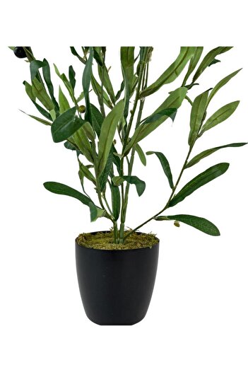 Nettenevime Yapay Çiçek Siyah Saksıda Zeytin Dalı 60cm