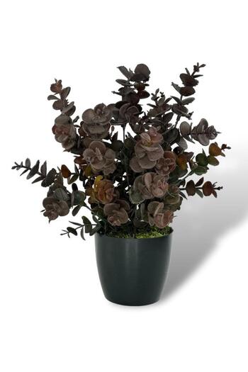Nettenevime Artificial Flower Black Pot Eucalyptus Boxwood Bunch Powdered Pastel Brown Decorative Artificial Plant