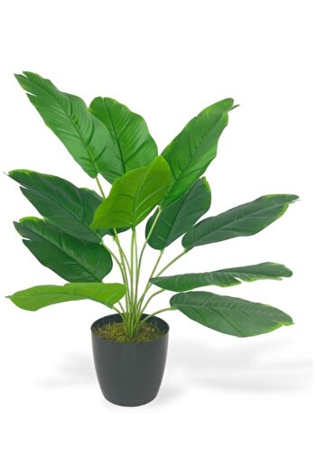 Nettenevime Yapay Çiçek Saksıda Yeşil Muz Yapraklı 12dal 50cm Salon Çiçeği Yapay Bitki