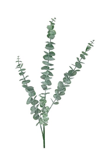 Nettenevime Yapay Çiçek Pastel Yeşil Okaliptus 3dallı Uzun Dal 76cm Eucalyptus
