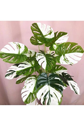 Nettenevime Yapay Ağaç Salon Bitkisi Beyaz Monstera 70 Cm 18 Yaprak Antrasit Saksıda Deve Tabanı