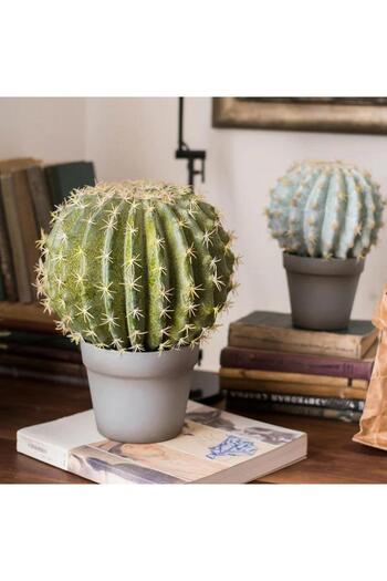 Nettenevime Yapay Çiçek Echinocactus Grusonii Altın Fıçı Kaktüs Siyah Saksıda 35*25m Cactüs Sk4010s