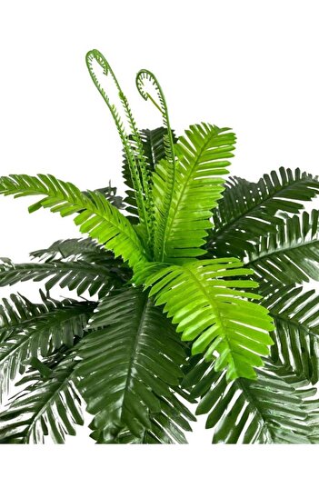 Nettenevime Yapay Çiçek Cycas Aşk Merdiveni Eğrelti Otu Sıkas Bitkisi 24 Yaprak 45*60 Cm Yapay Bitki