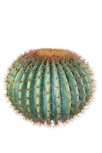 Nettenevime Yapay Çiçek Echinocactus Grusonii Altın Fıçı Kaktüs 60*60cm Cactüs Sk4012
