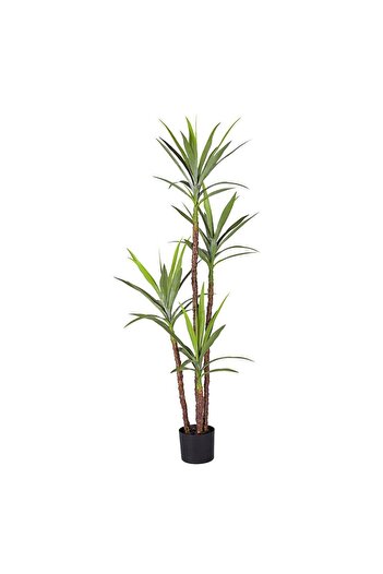 Nettenevime Yapay Ağaç Dracaena Ağacı 4gövdeli 180 Cm Premium Kalite