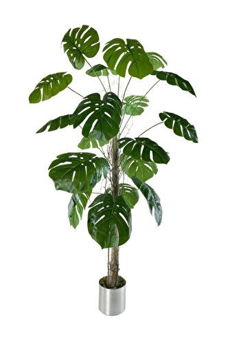 Nettenevime Τεχνητό δέντρο Monstera 18 κλαδιών κονάρι στο σώμα 120x60cm σε ασημένια γλάστρα αλουμινίου