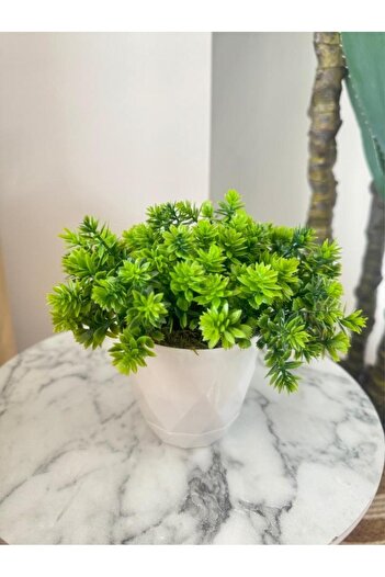 Nettenevime Yapay Çiçek Beyaz Saksıda Lotus Dekoratif Masa Çiçeği 15cm