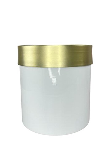 Nettenevime White Vase - Stainless Aluminum Material with Gold Belt, 26*24