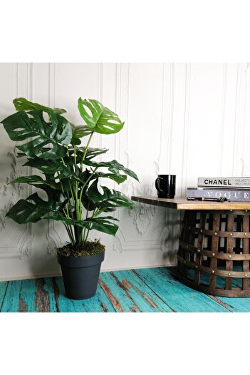 Nettenevime Yapay Ağaç Salon Bitkisi Monstera 60 Cm 18 Yaprak Antrasit Saksıda