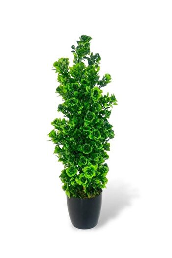 Nettenevime Yapay Çiçek Siyah Saksıda Güllü Yeşil Şimşir Ağacı 55cm