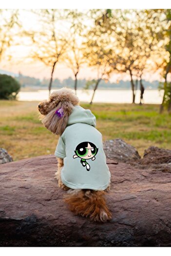 Buddy Store Kedi & Köpek Kıyafeti Elbisesi Giysileri Sweatshirt - Powerpuff Girl Baskılı Su Yeşili Sweatshirt