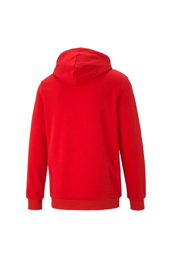 Puma Ess Big Logo Hooded Men's Hoodie - Tr High58668811