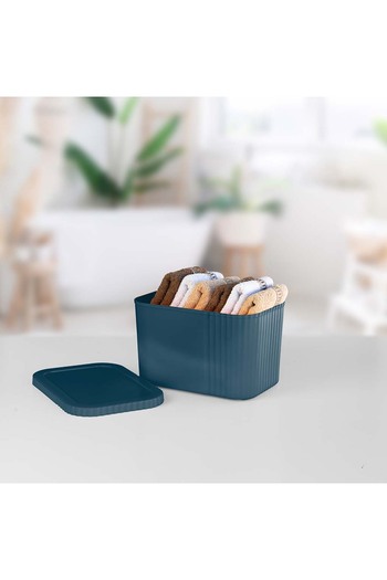 devigo 6-Liter Midi Multi-Purpose Storage Box with Lid - Towel, Cosmetic Personal Item Organizer