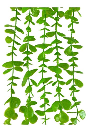 Nettenevime Yapay Çiçek Sarkan Okaliptus 80cm 5dal Yeşil Açık