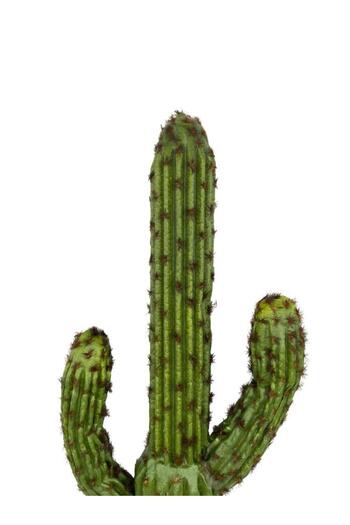 Nettenevime Artificial Flower Cactus Tree Darkgreen Set of 2 with 3 Arms 50*15cm and 35*15cm Sk4022