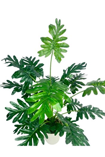 Nettenevime Yapay Ağaç Salon Bitkisi Syngonium 70 cm 18 Yaprak Beyaz Saksıda
