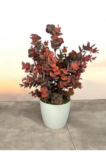 Nettenevime Artificial Flower White Potted Eucalyptus Boxwood Bunch Powdered Pastel Burgundy Decorative Artificial Plant