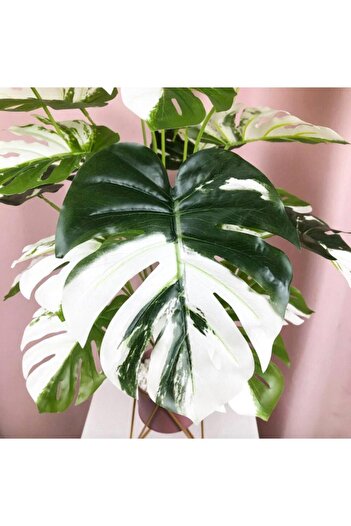 Nettenevime Yapay Ağaç Salon Bitkisi Beyaz Monstera 70 Cm 18 Yaprak Antrasit Saksıda Deve Tabanı