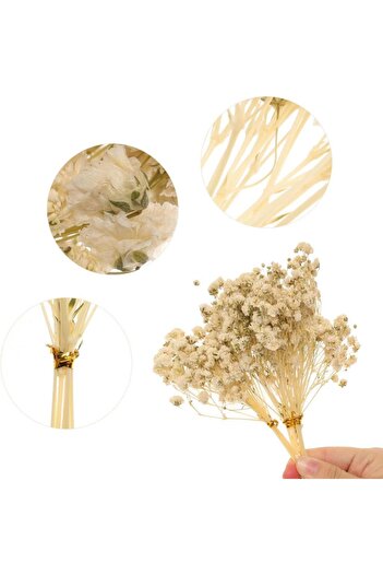 Nettenevime Σετ 10 Dry Flower Natural CREAM Cipso Shocked Μη Απορριμμένο
