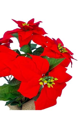 Nettenevime Τεχνητό λουλούδι Poinsettia Λινάρι σε γλάστρα Τεχνητό φυτό Σαλόνι Λουλούδι Κόκκινο