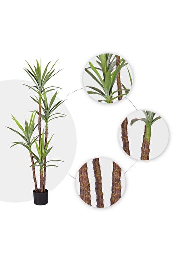 Nettenevime Yapay Ağaç Dracaena Ağacı 4gövdeli 180 Cm Premium Kalite