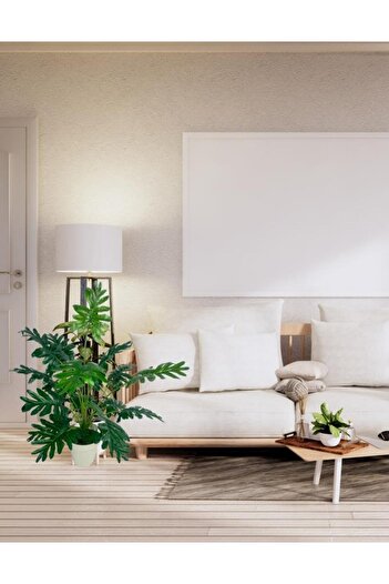 Nettenevime Yapay Ağaç Salon Bitkisi Syngonium 70 cm 18 Yaprak Beyaz Saksıda