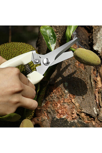 Generic Cutting thick scissors j-1293