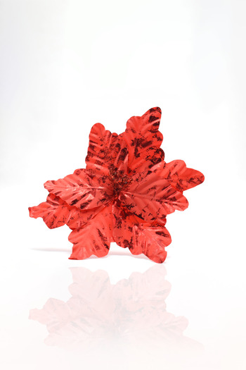 Waldern Premium Christmas Ornament Artificial Flower - 25*25 cm