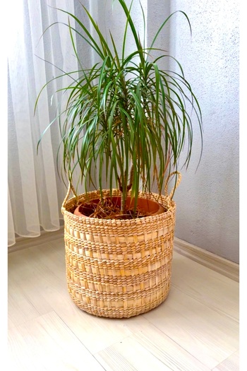 afralya home Büyük Boy Saksı 35 cm Hasır Büyük Saksı Yıkanabilir Saksı