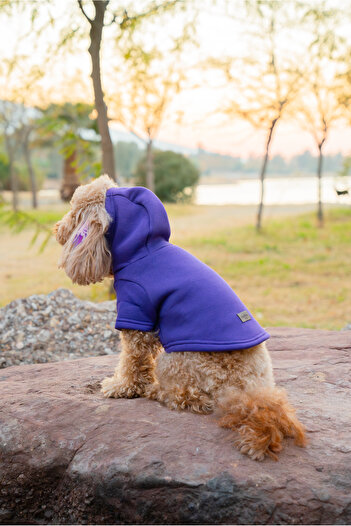 Buddy Store Cat & Dog Outfit Clothes Outfits Sweatshirt - Rick & Morty Printed Purple Sweatshirt