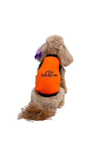 Buddy Store Cat & Dog Outfit Dresses Clothes Undershirt - I'M Very Dangerous Printed Orange Undershirt