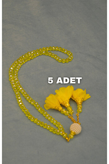 Bilenler 5 Crystal Rosary